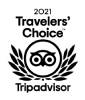 Logo Travellers Choice 2020