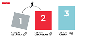 niveles arquitectura pricing mirai