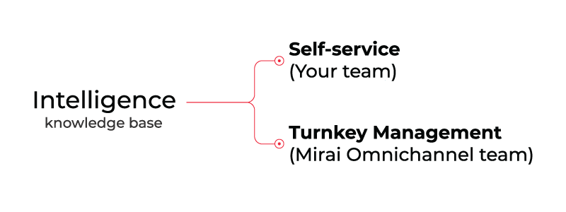 Mirai Intelligence knowledge base