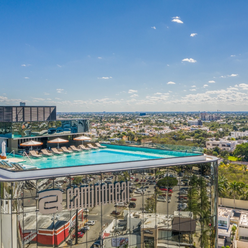 mirai google success story grupo camino real