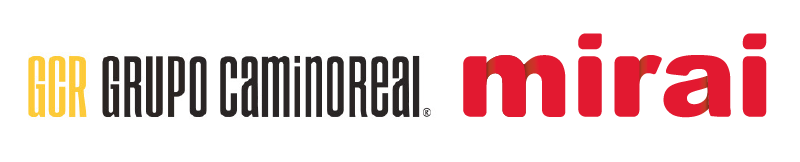 mirai google success story grupo camino real