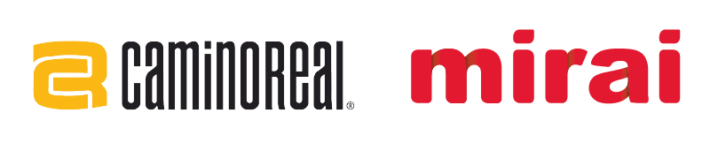 mirai google exemple reussite grupo camino real