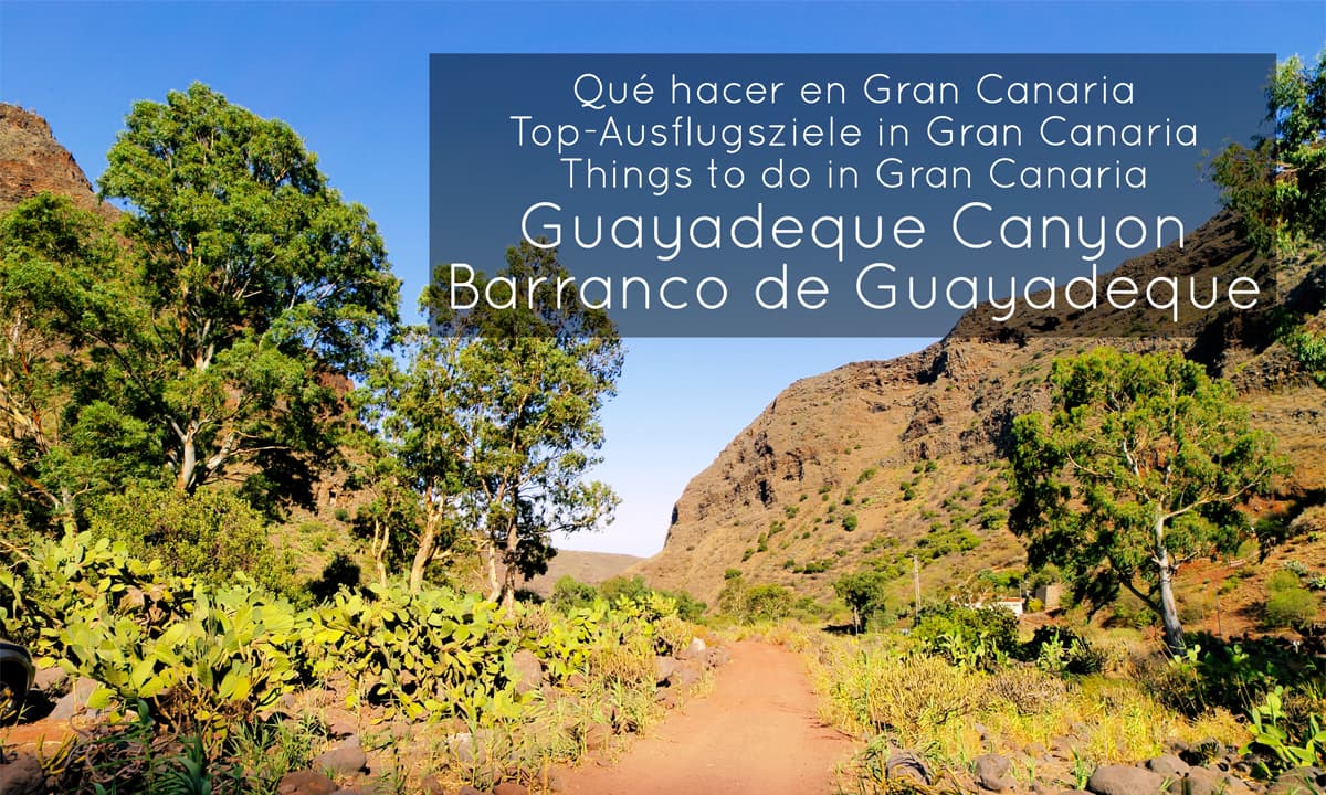 Barranco-Guayadeque-Gran-Canaria