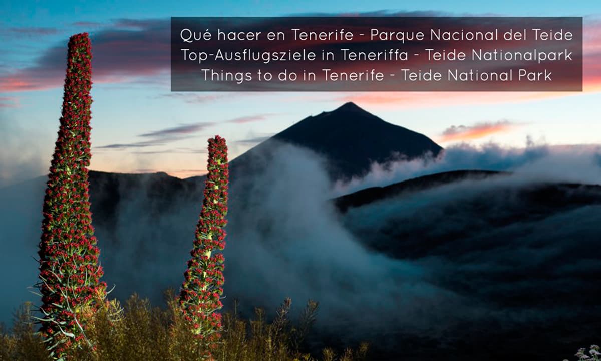 Things-to-do-Tenerife-Parque-Nacional-del-Teide