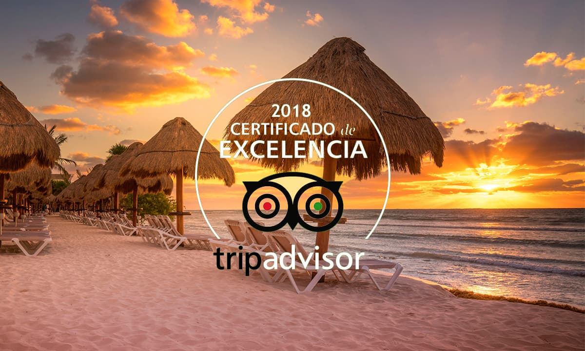 tripadvisor-certificate-of-excellence-portada