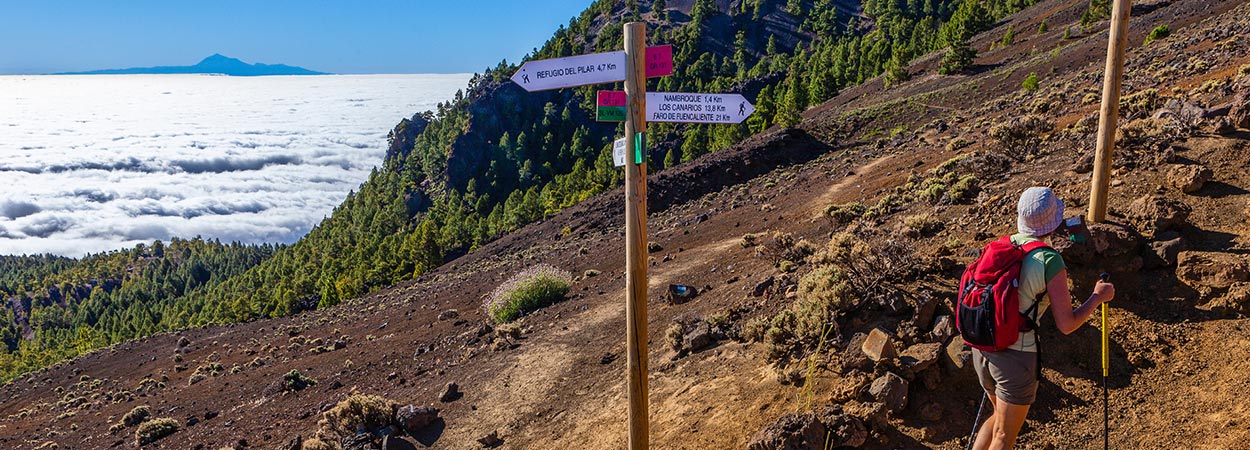 Discover the charm of this beautiful island on these 5 hiking routes in La  Palma