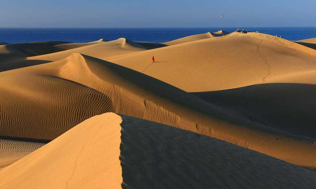 Dünen von Maspalomas