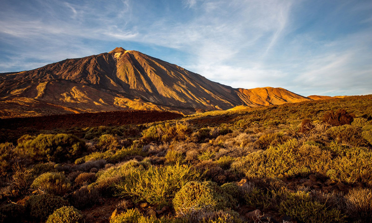 Parque Nacional del Teide