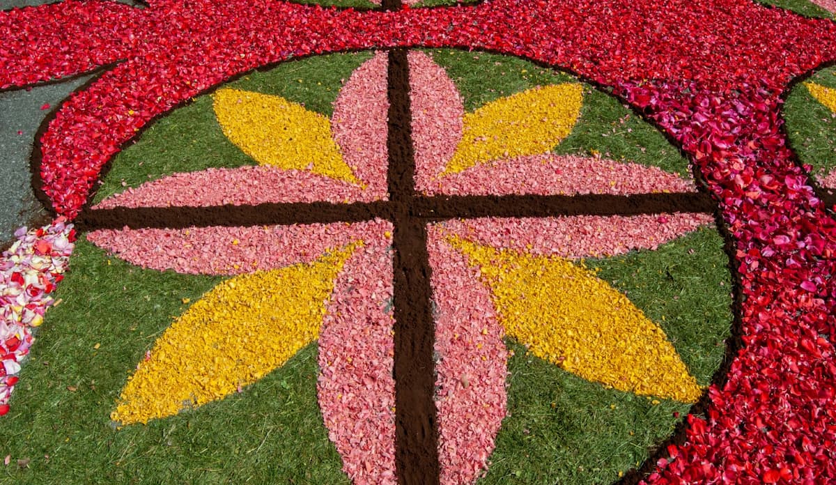 Carpet of flowers in La Orotava