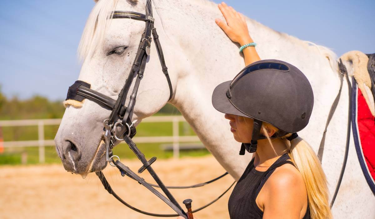 Excursión a caballo