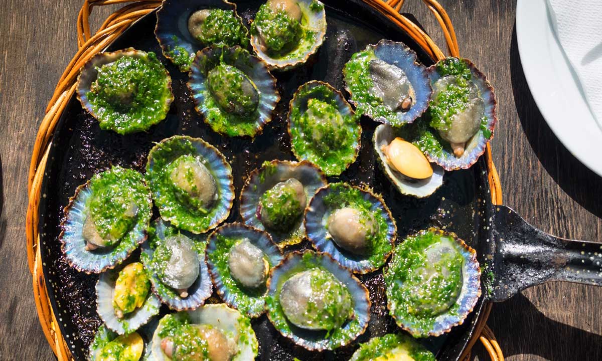 Canary Island limpets with green mojo sauce