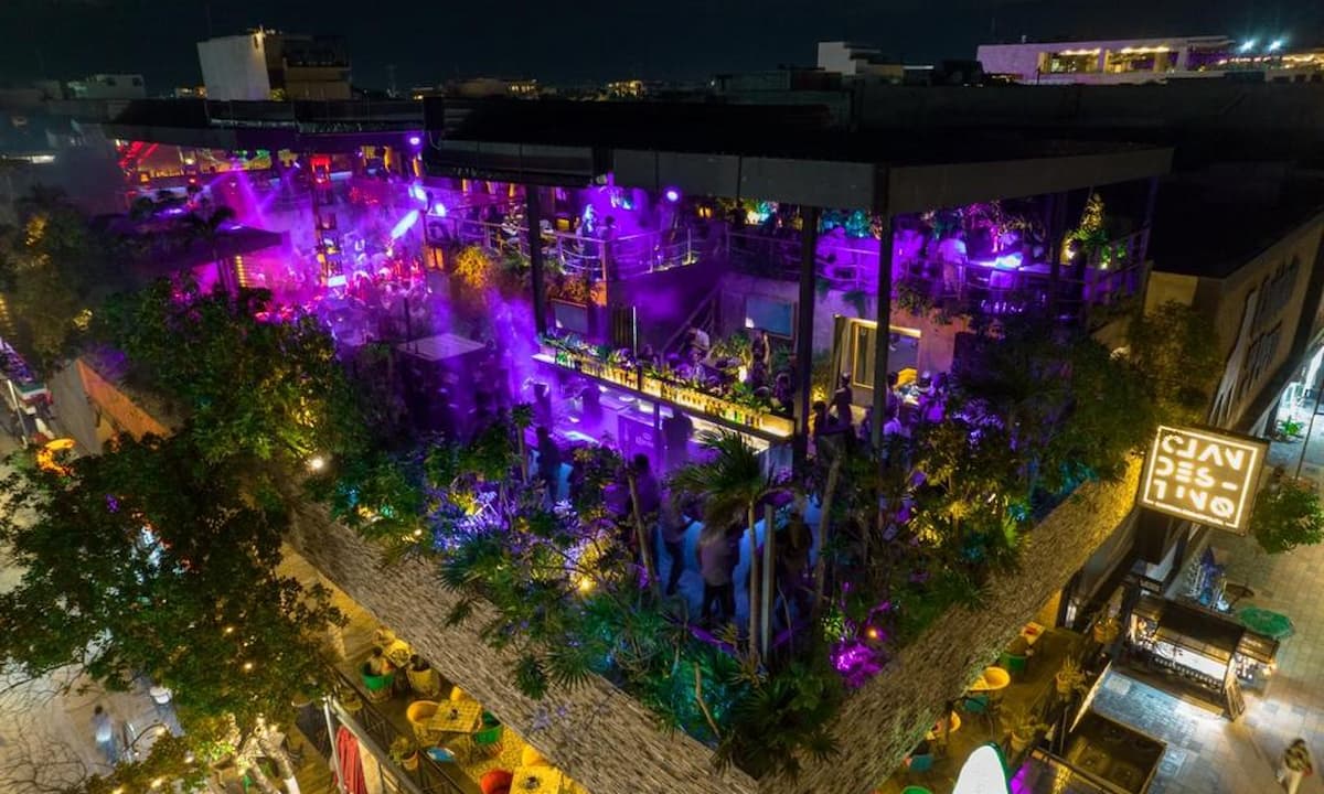 Discover nightlife on Playa del Carmen's Fifth Avenue