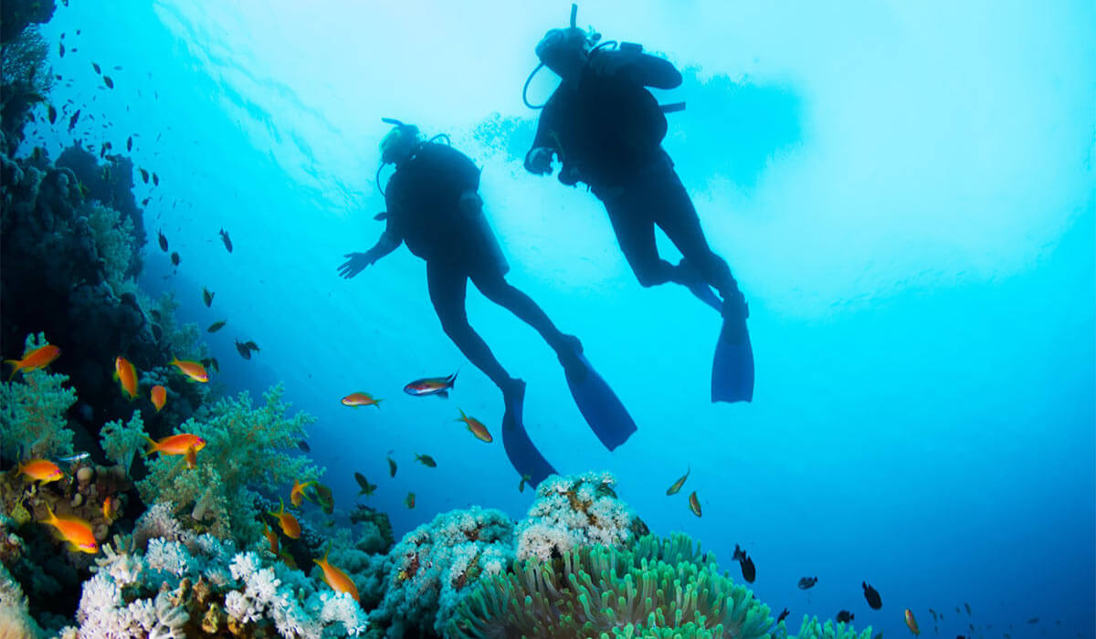 Couple diving on the seabed