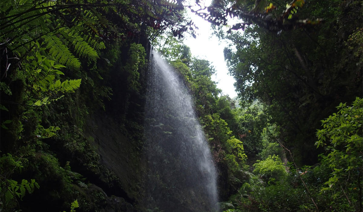 Vista de los manantiales de Marcos y Cordero