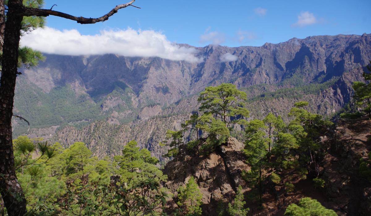 Vista panorámica del paisaje de La Palma