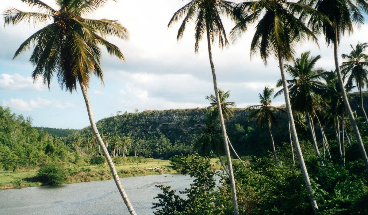 Fluss Chavón mit Palmen