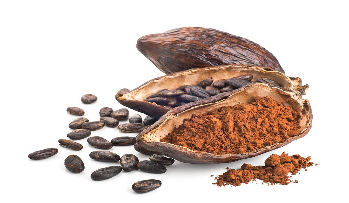 Dominican cocoa
