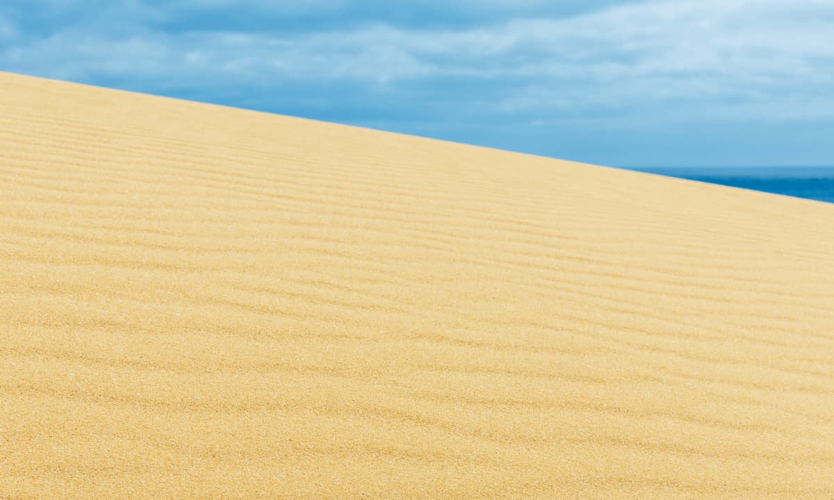 Una duna en Corralejo