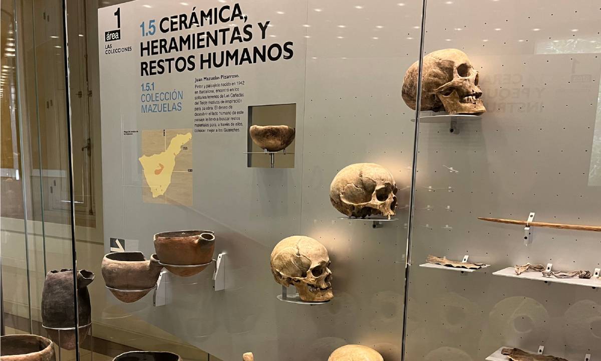 Museo de la Naturaleza y la Antropología de Tenerife