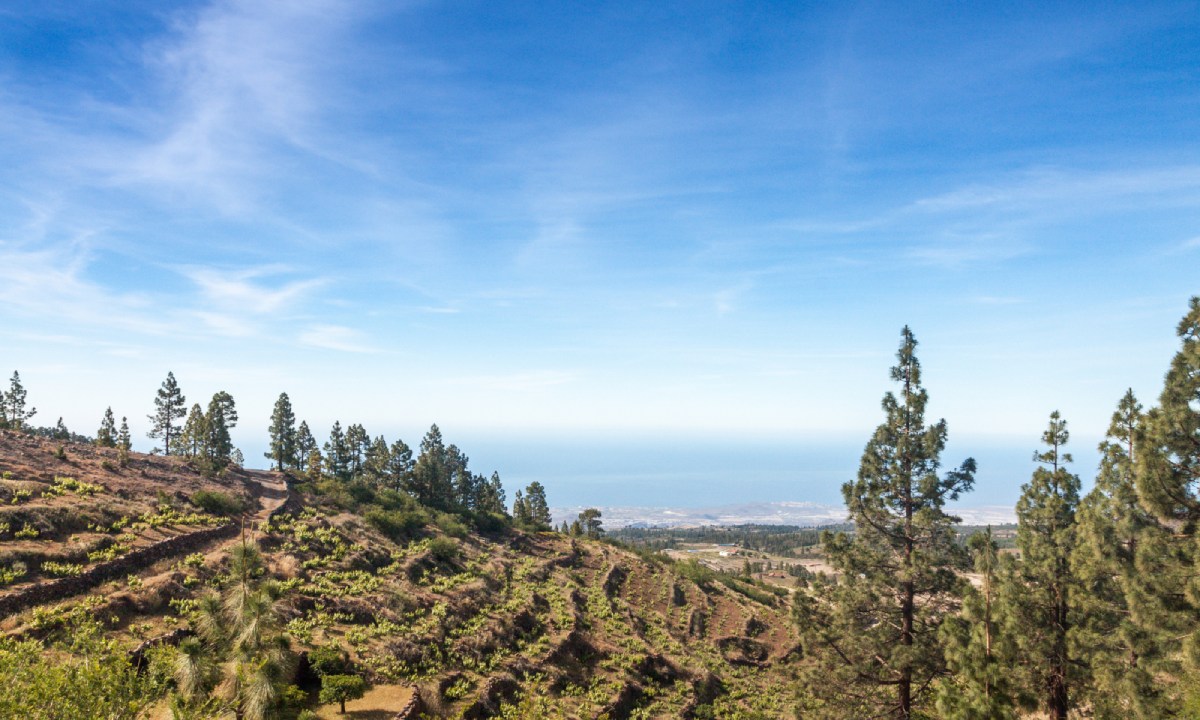imagen de un paisaje del municipio de Vilaflor, Tenerife