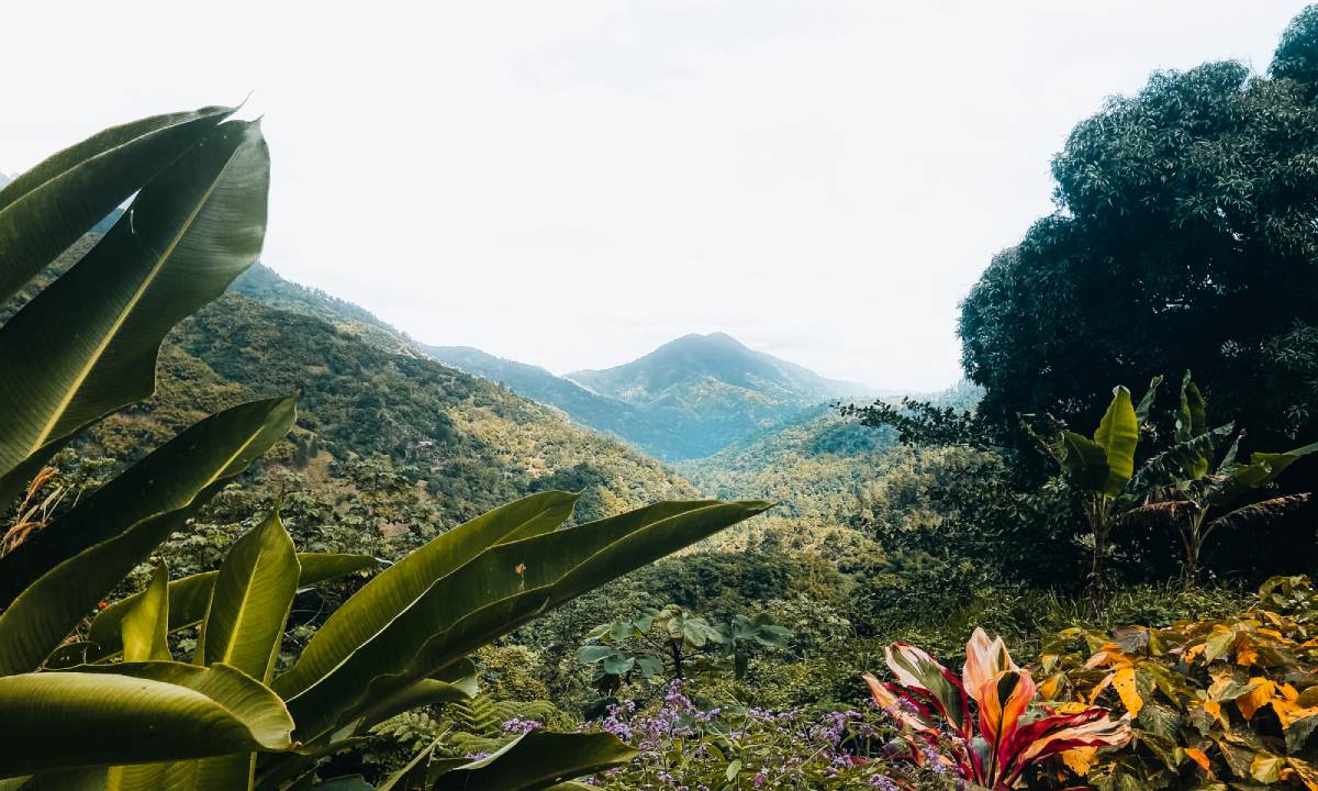 Holywell National Park