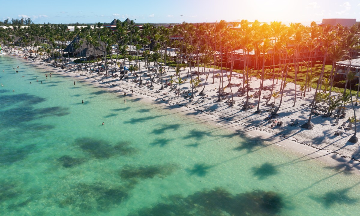 Playa de palmeras en Punta Cana