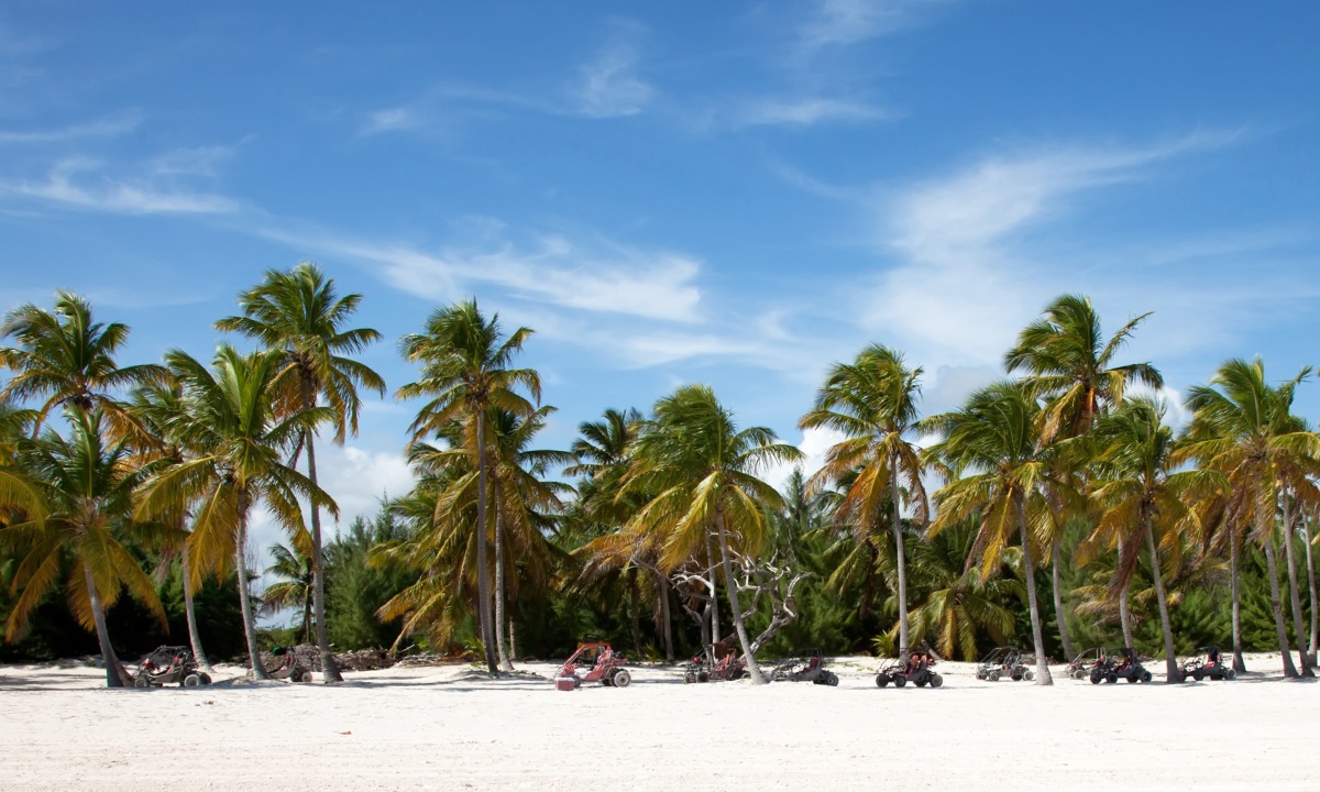 Tour en buggy por playa de palmeras en Punta Cana