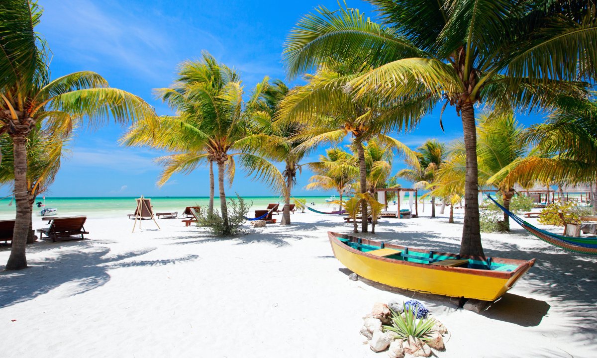 Playa de palmeras en la Isla de Holbox