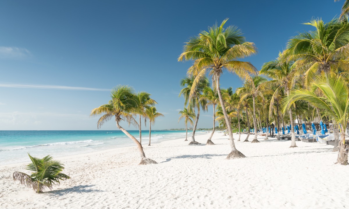 Playa de palmeras en Tulum