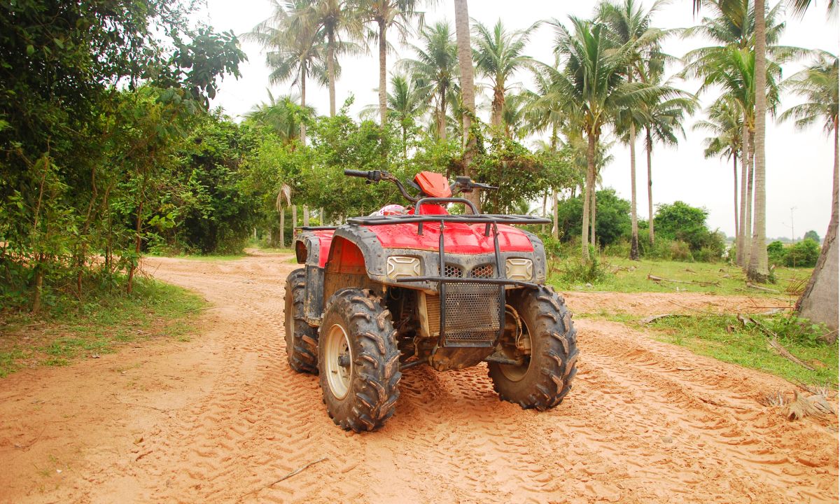 A quad on a jungle track