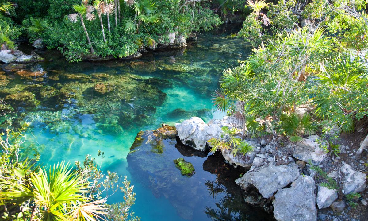 The Xel-Há nature park