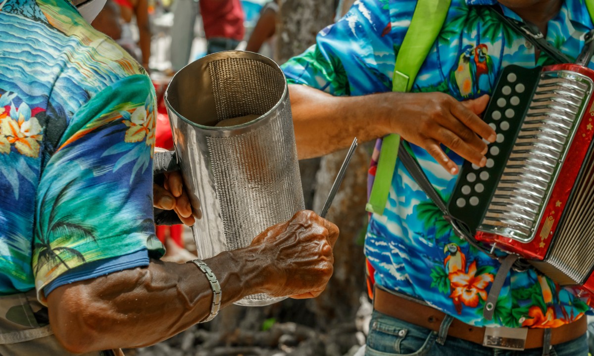 Musicians playing a metal guiro and accordion