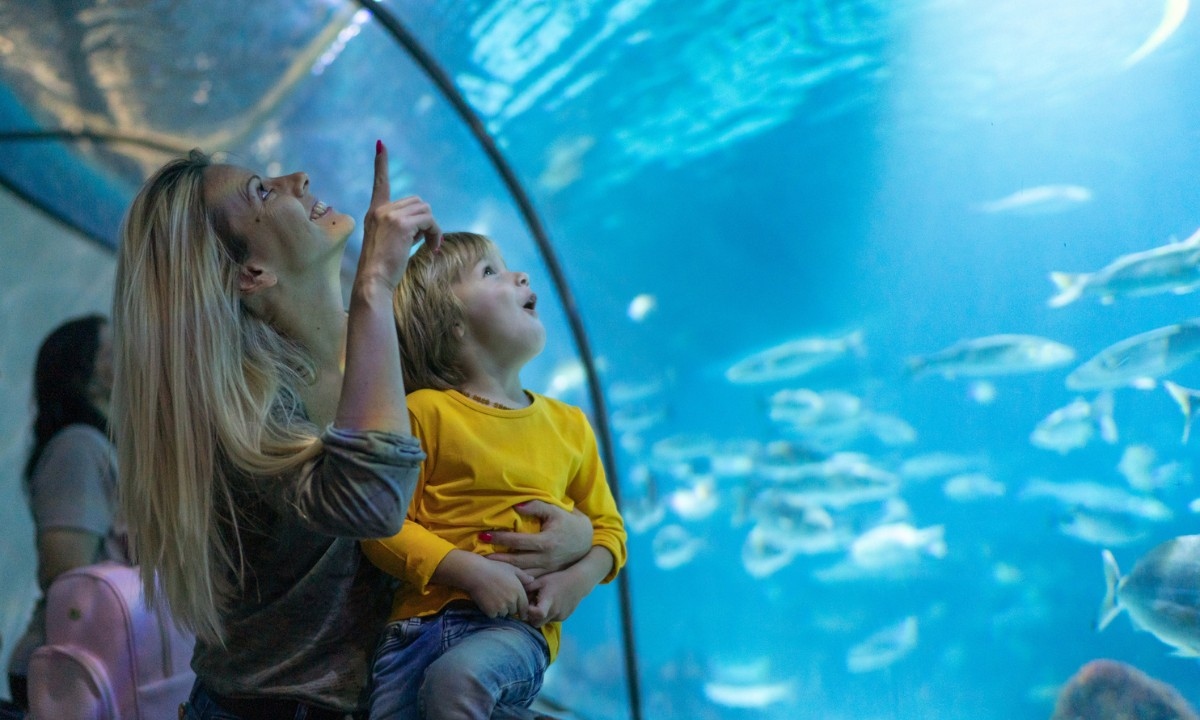 A mother and son observing fish at the Barcelona Aquarium