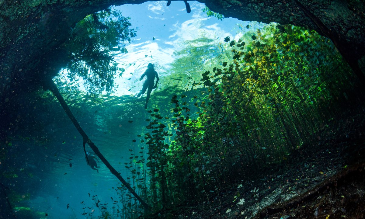 Cenote Dos Ojos, Riviera Maya