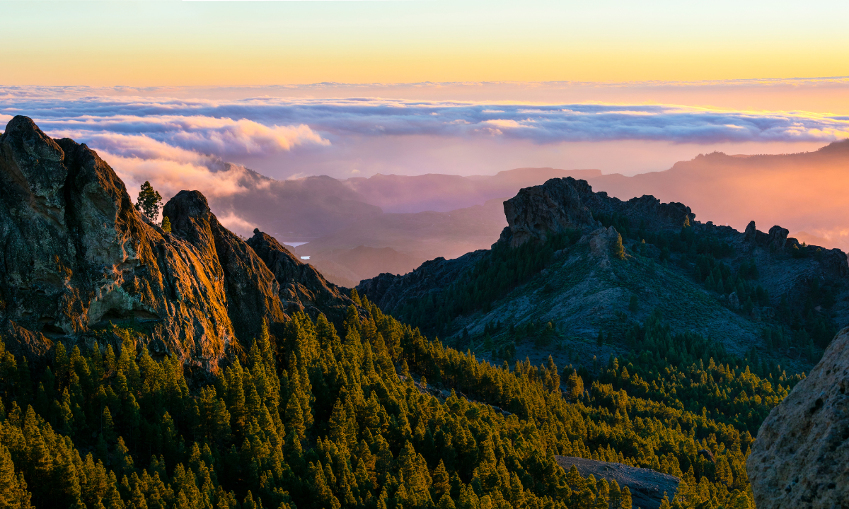 Landschaft mit Bergen und Wäldern auf Gran Canaria