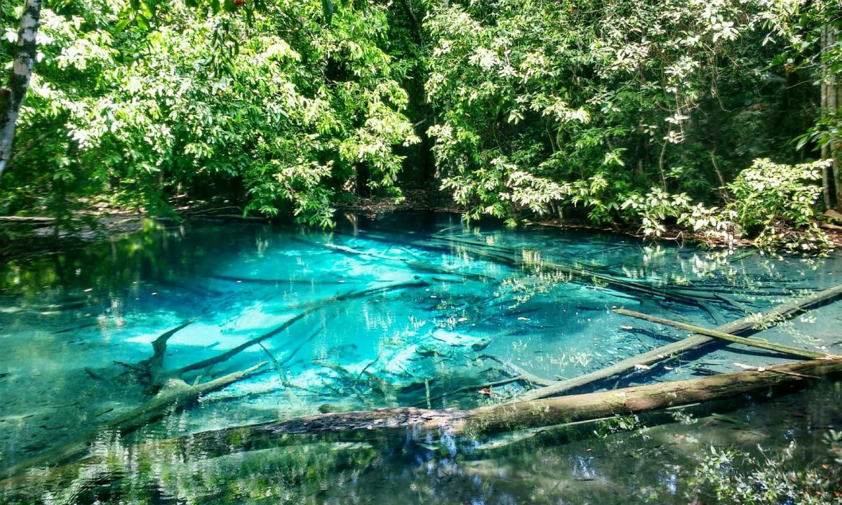 The lagoons at Los Ojos Indígenas