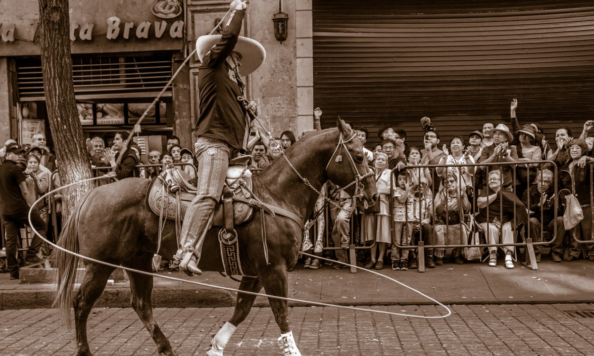 vaquero a caballo con lazo de rodeo en exhibición de charrería