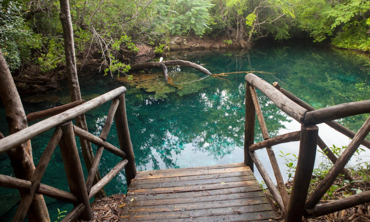 parque ecológico Los Ojos Indígenas