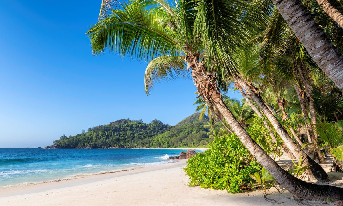 Seven Mile Beach auf Jamaika