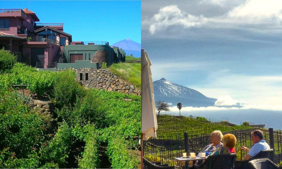 Weinberge und Gebäude von Bodegas Monje mit Blick auf den Teide und das Meer