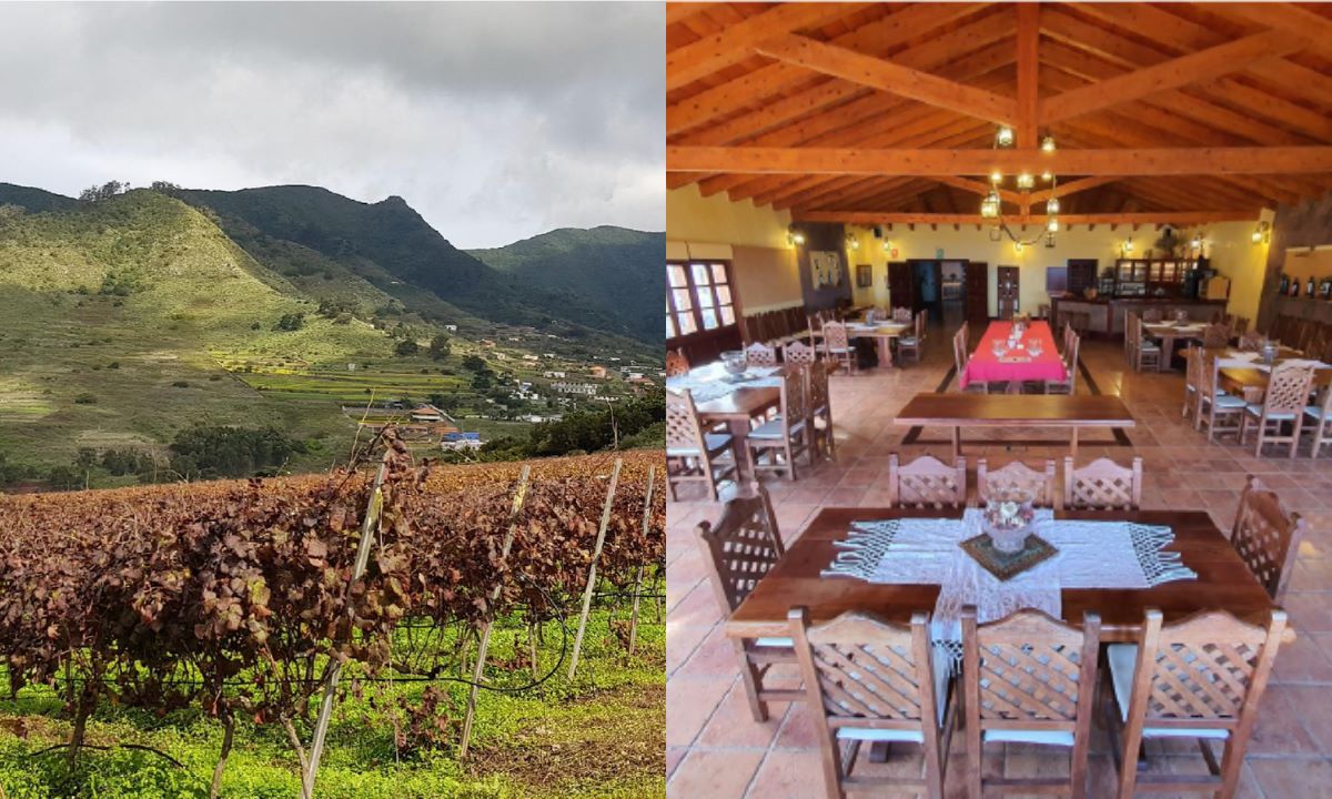 Weinberge (links) und traditioneller Speiseraum (rechts) der Bodega El Lomo in Tegueste