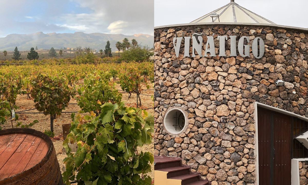 Weinberge (links) und Steinfassade (rechts) der Bodegas Viñátigo auf Teneriffa
