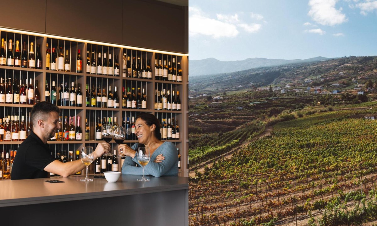 Weinverkostung (links) und Weinberge (rechts) der Bodegas Tajinaste auf Teneriffa