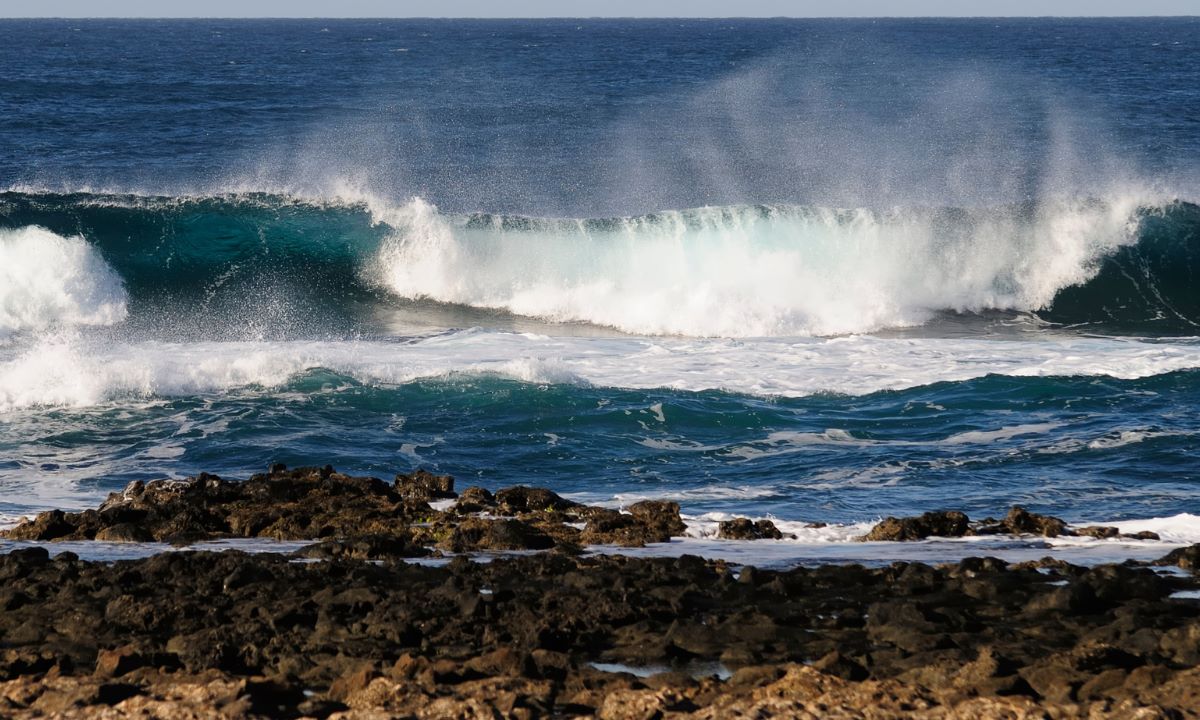 Wild coastline of Fuerteventura with natural pools among volcanic formations