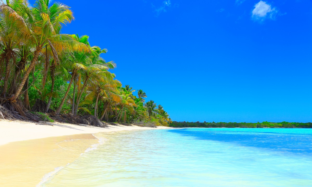 Saona Island beach