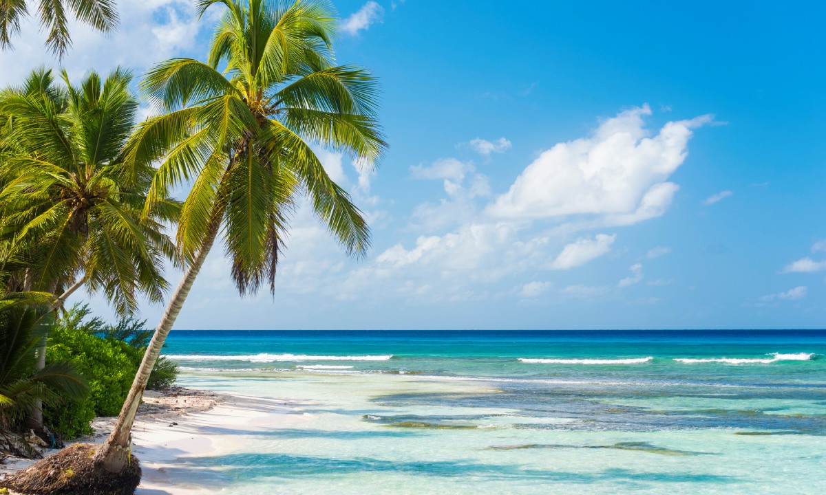 Playa de Isla Saona