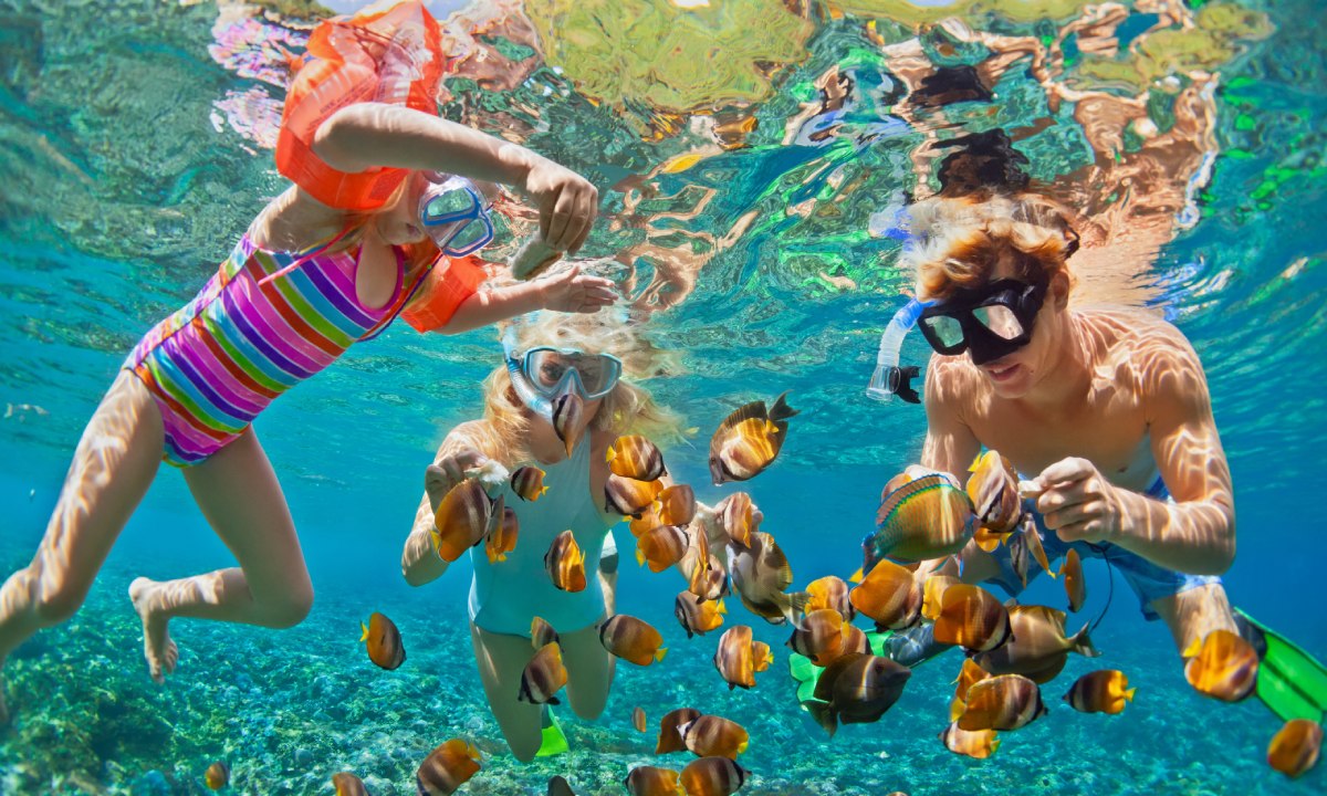 A father and his daughters snorkelling with clownfish