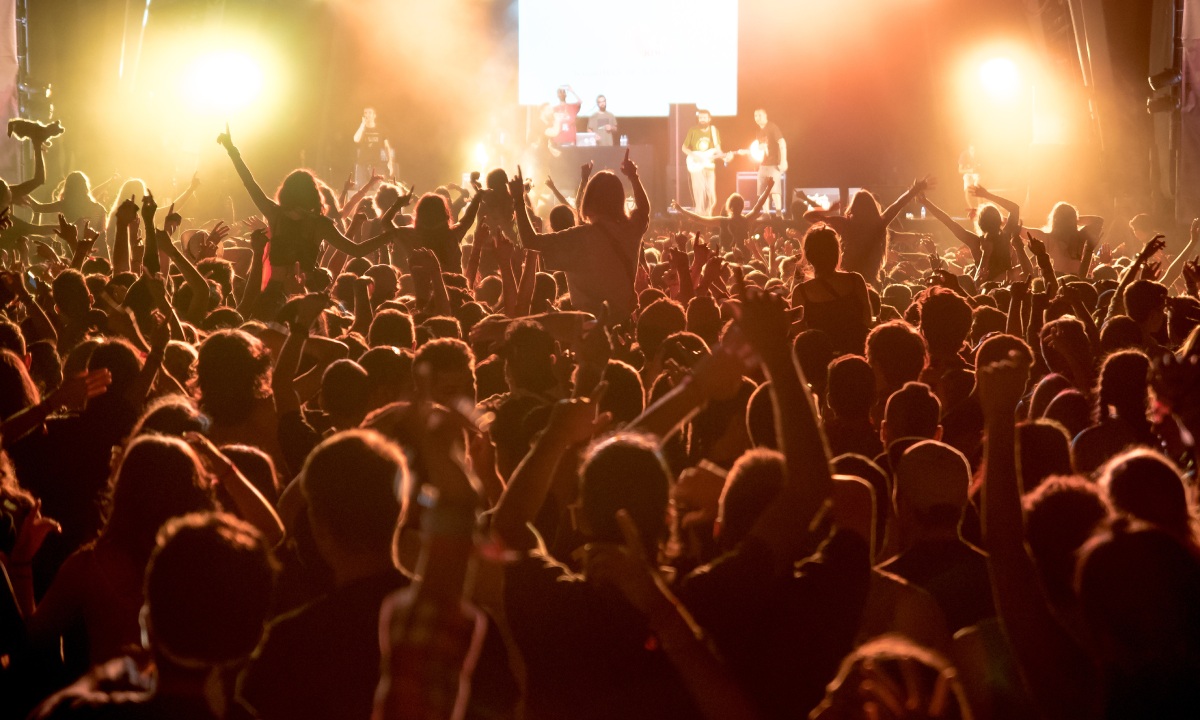 Audience at a concert
