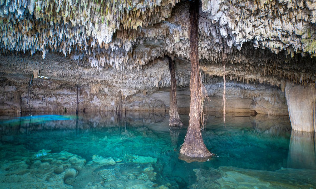 Cenote de Cenotes Zapote Prehistoric Park