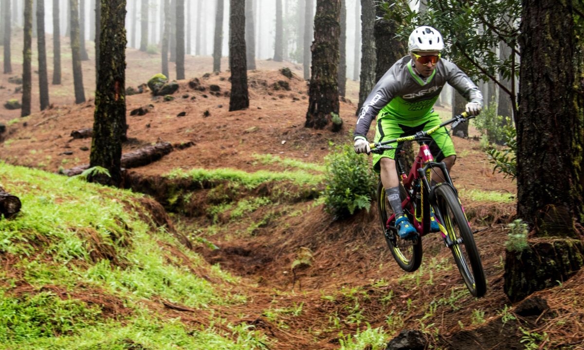 Ciclista practicando ciclismo de montaña en descenso por un sendero boscoso de pinos en las rutas de ciclismo de La Palma.